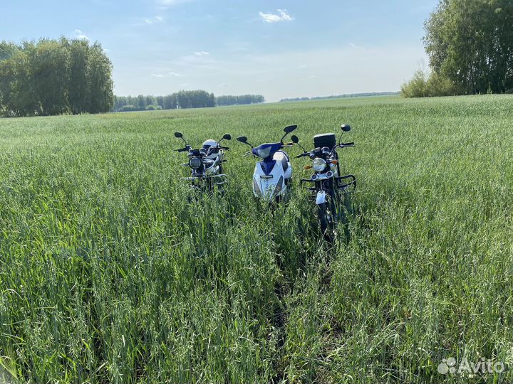Продам скутер Vento Corsa 150cc