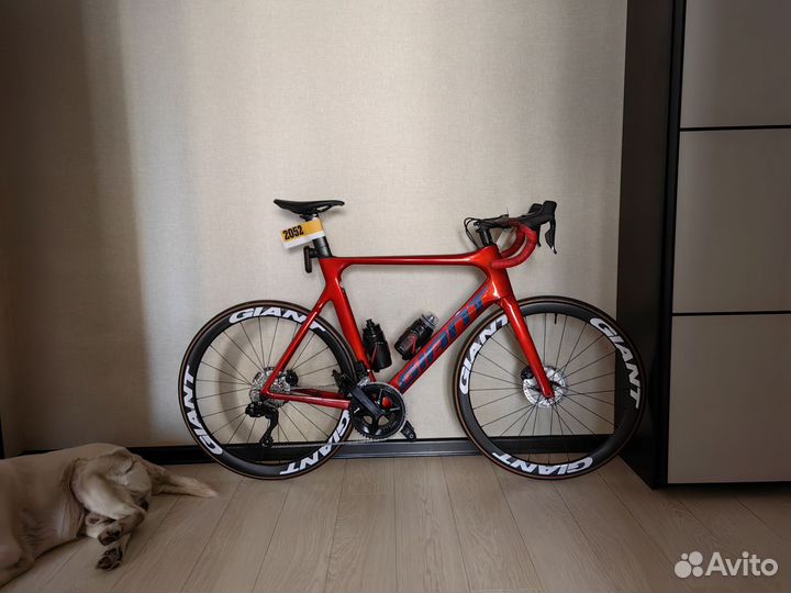 Giant propel advanced disc 2