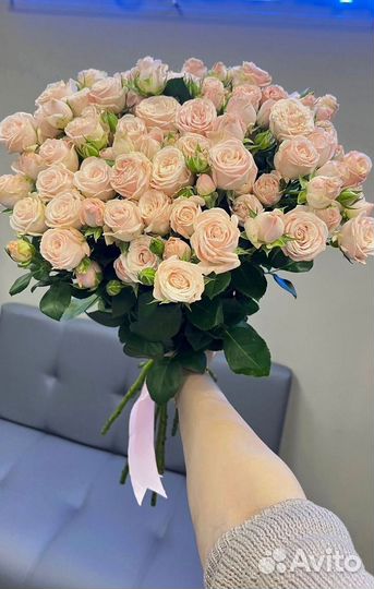 Розы кустовые премиум