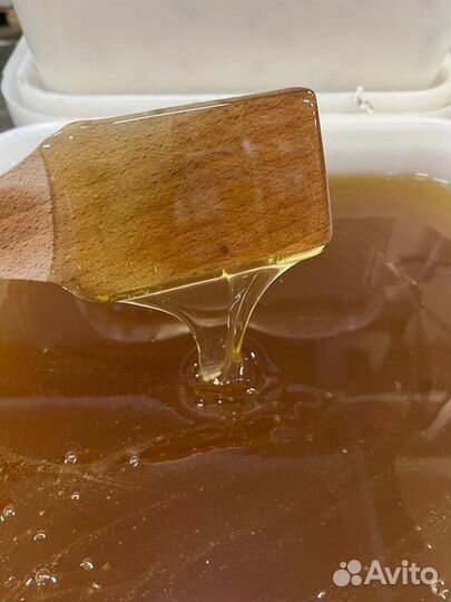 Липовый свежий мед опт