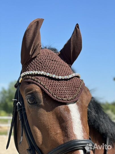 Ушки для лошади