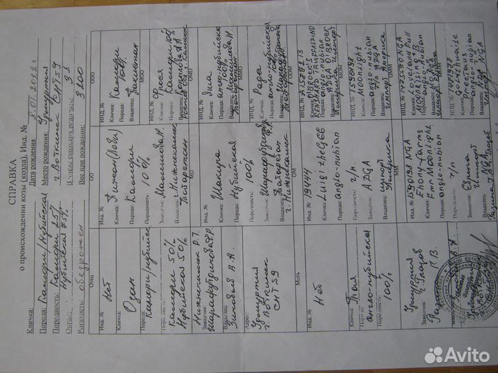 Услуги козла