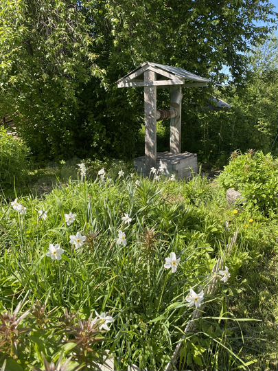 Дом 66,7 м² на участке 18,5 сот.