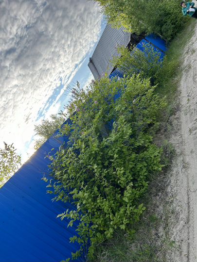 Дача 50 м² на участке 5,6 сот.