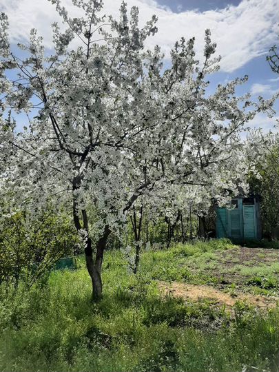 Дача 18 м² на участке 6 сот.