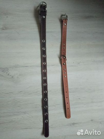 Поводки и ошейник для собак