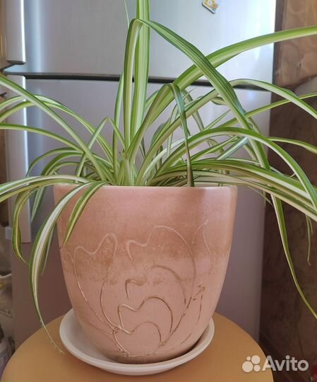 Большой глиняный горшок 21 см