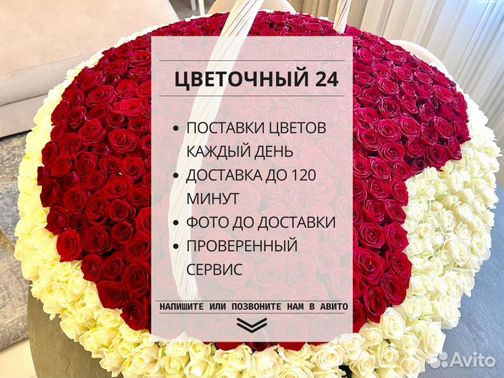 Цветы гипсофилы