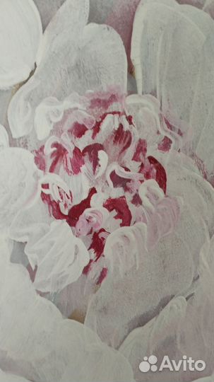 Картина Пионы