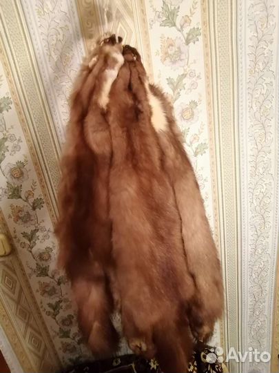 Шкуры куницы