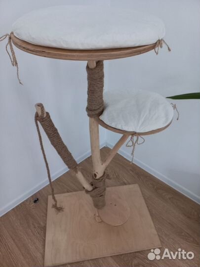 Когчеточка