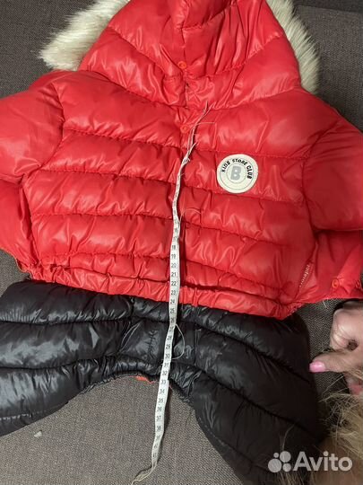 Одежда для собак