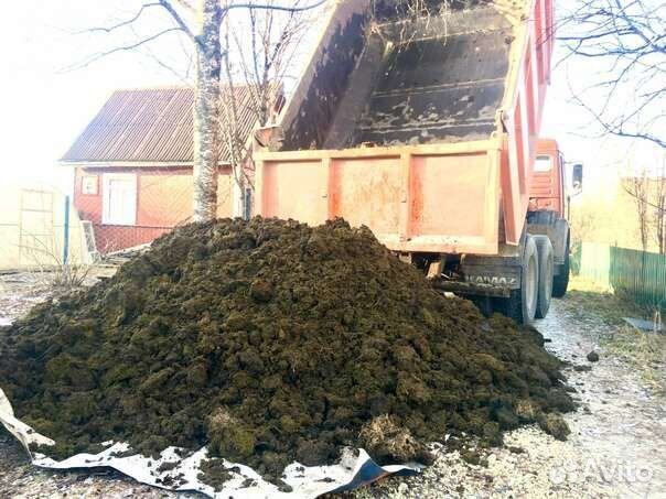 Чернозем, Навоз, Перегной