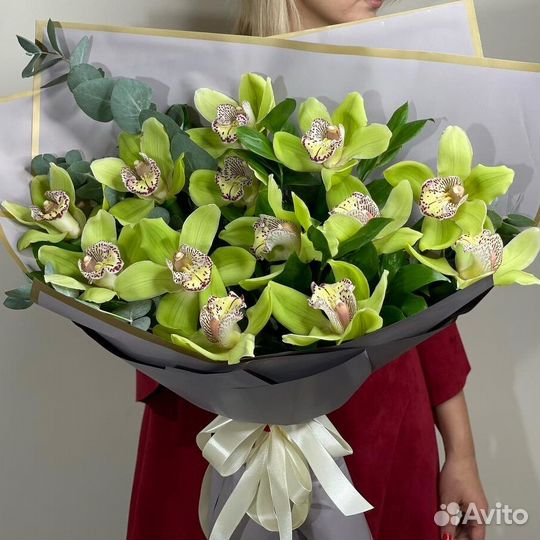 Букет цветов 531 Орхидеи зеленые 35 шт