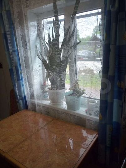 Дом 75 м² на участке 10 сот.