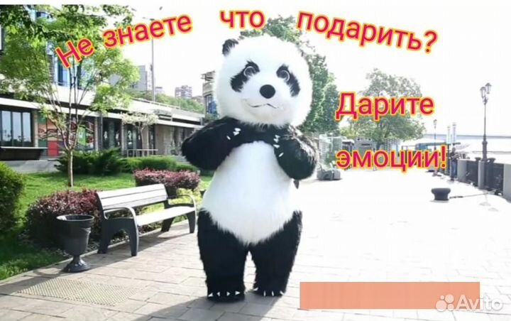 Ростовые куклы на праздник/Организация мероприятий