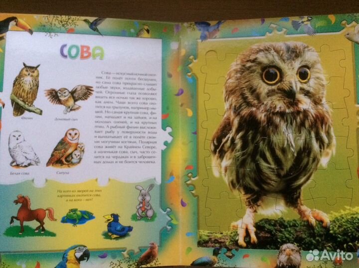 Книга с 6 пазлами