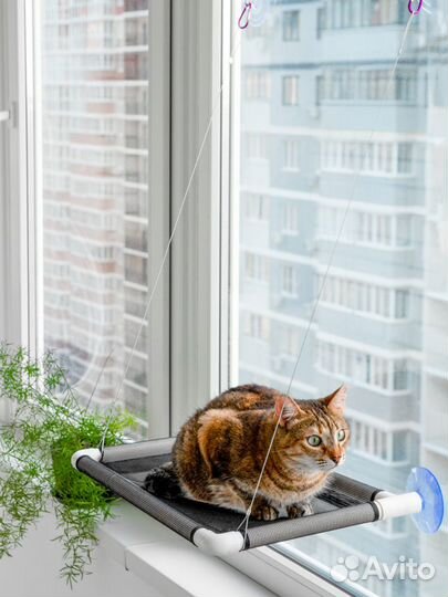 Гамак для кошек на окно