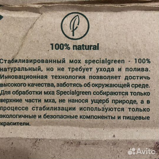 Стабилизированный мох