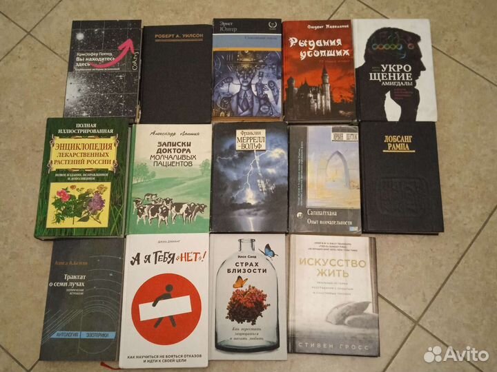 Вы находитесь здесь и сейчас, укрощение амигдалы