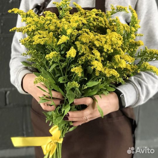 Помощник флориста