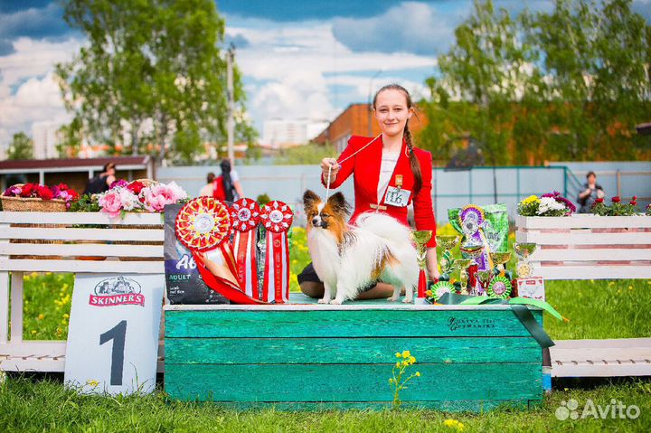 Услуги хендлера