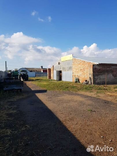 Животноводческая ферма