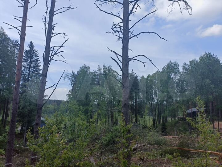 Участок 7,5 сот. (СНТ, ДНП)