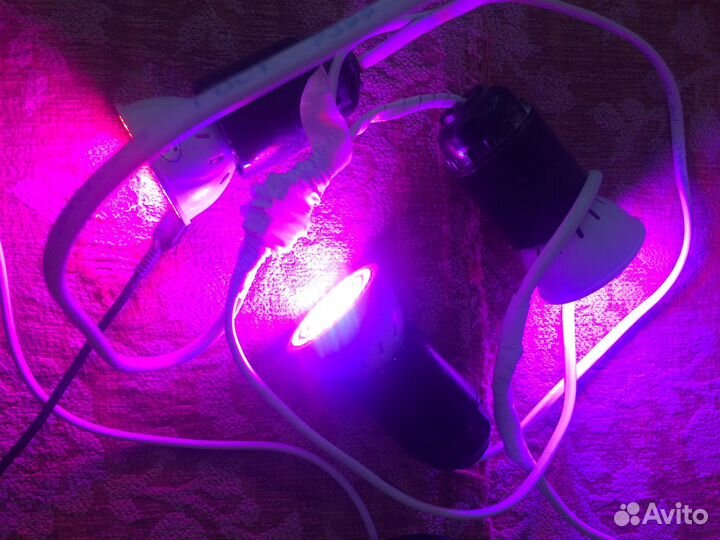 Лампы для цветов