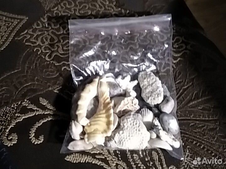 Ракушки в аквариум