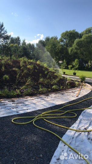 Ландшафтный дизайн,Озеленение, Благоустройство