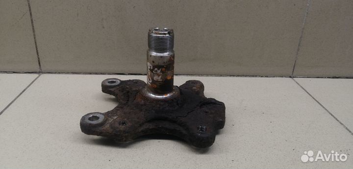 Цапфа (п.з.к.) C4 II 2011