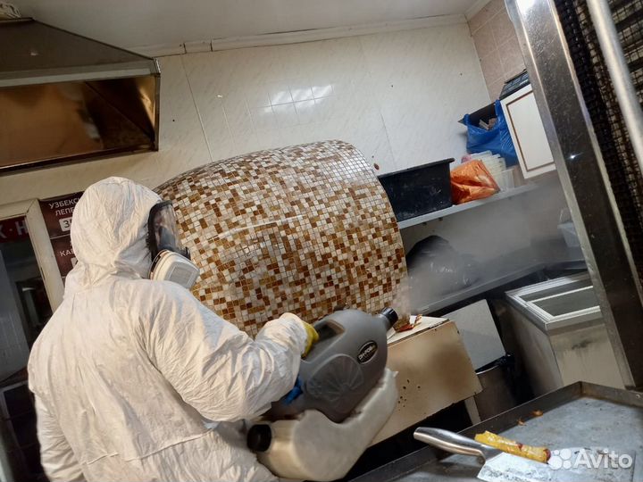 Уничтожение клопов, тараканов, крыс