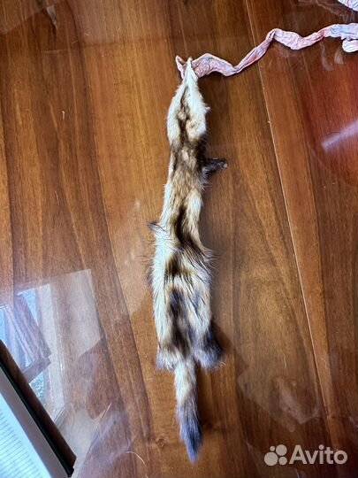 Шкура песца,хорька и лисы