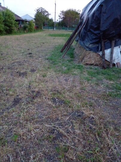 Участок 15 сот. (ИЖС)