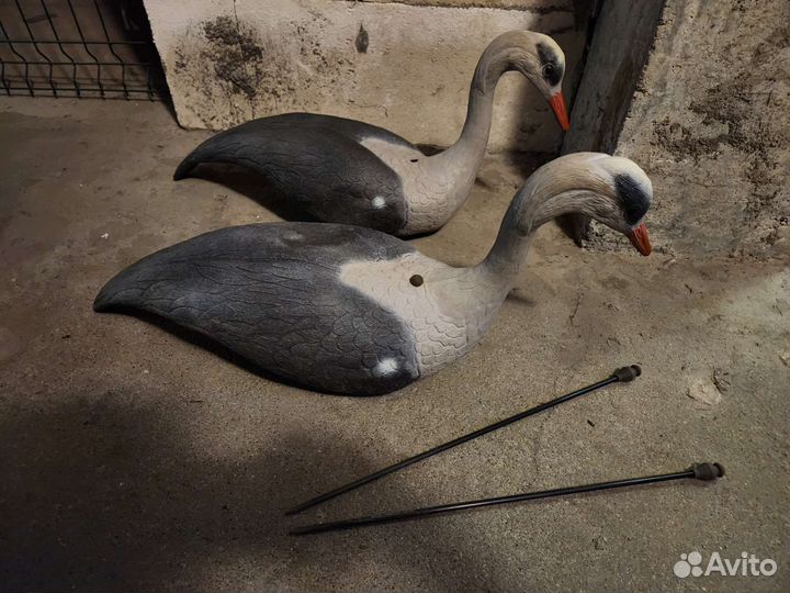 Чучело цапли