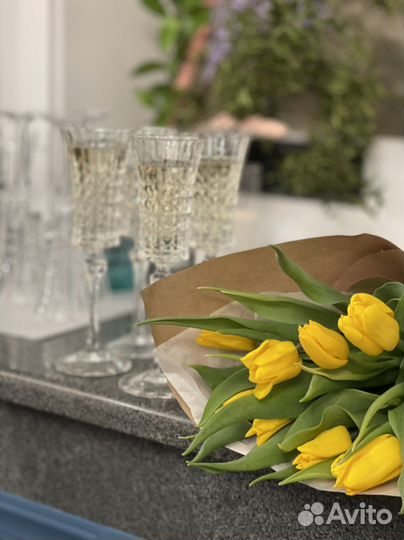 День с мобильным фотографом визуализатором