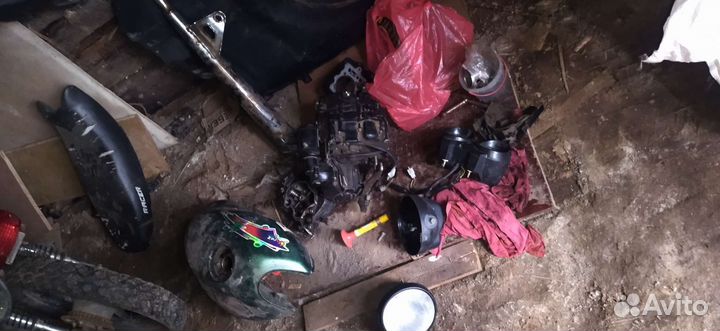 Racer tiger разбор