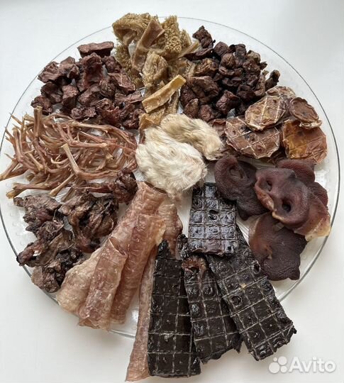 Дрессировка, кинолог с выездом, лакомства