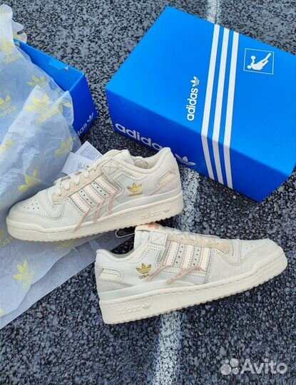 Adidas Forum 84 Low Off White