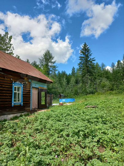 Дом 60 м² на участке 10 сот.