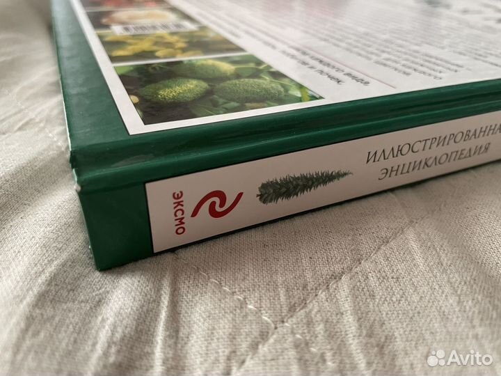 Книги. Энциклопедия. Книги для детей