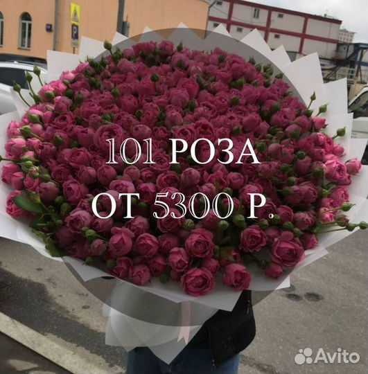 101 роза розы
