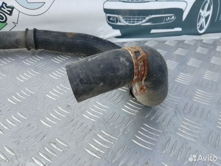 Патрубок радиатора нижний Peugeot Partner M49