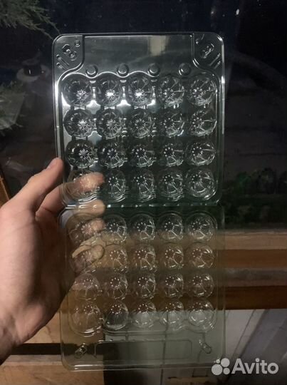 Упаковка для перепелиных яиц