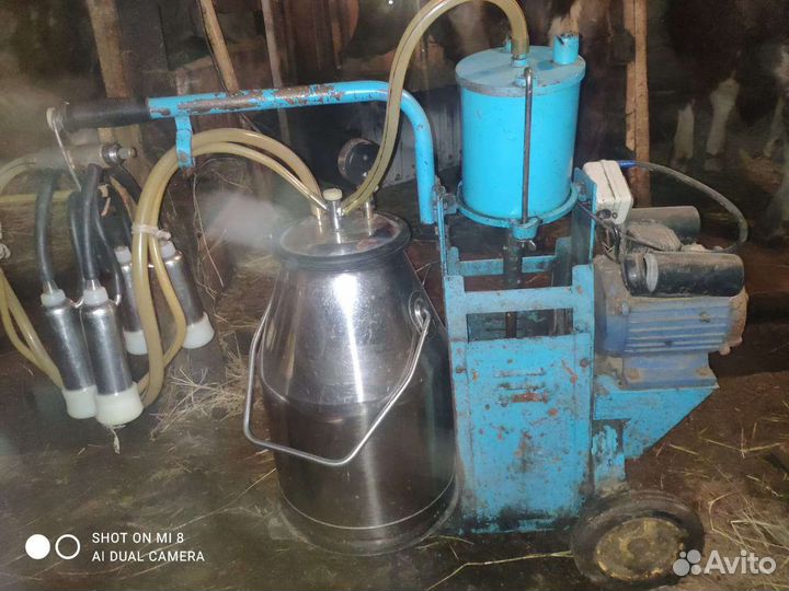 Доильный аппарат для коров бу в хорошем состоянии