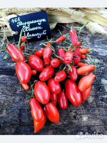 Продам коллекционные семена черри