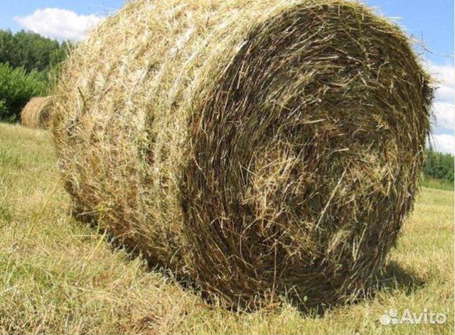 Сено луговое
