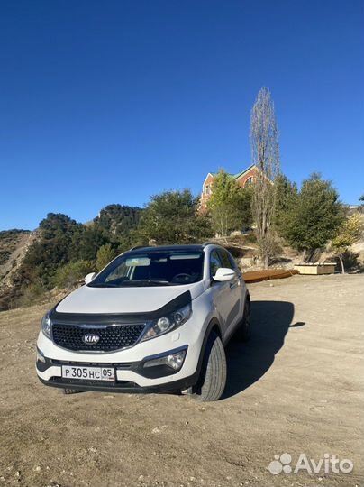 Гид- экскурсовод