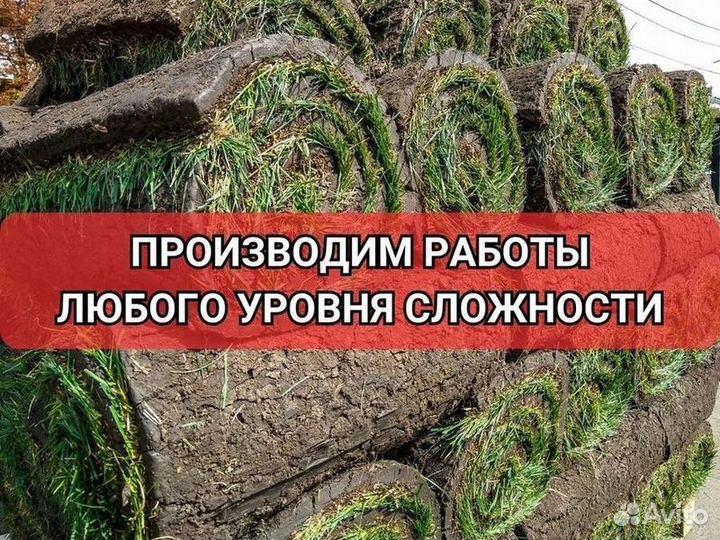 Рулонный газон/продажа/укладка
